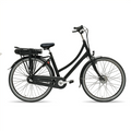 Prins evo N3 e-bike zwart